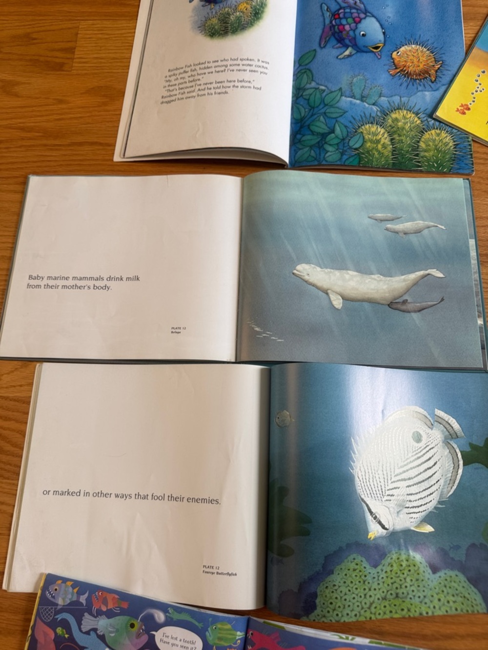 Lot of 13 Under the sea books - fish, mammals, Octonauts - Picture 5 of 7